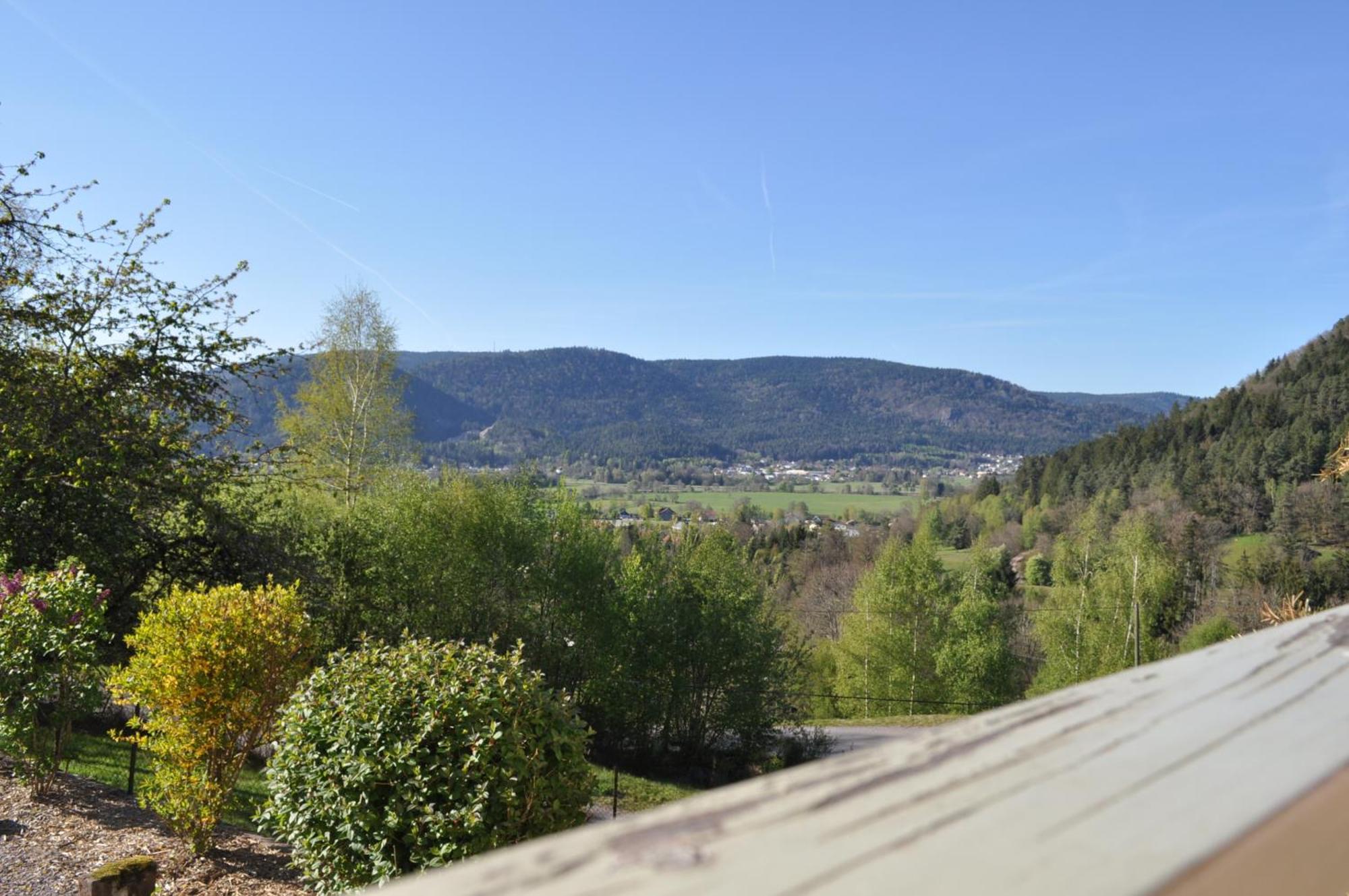 A L'Oree Du Bois Dommartin-lès-Remiremont الغرفة الصورة