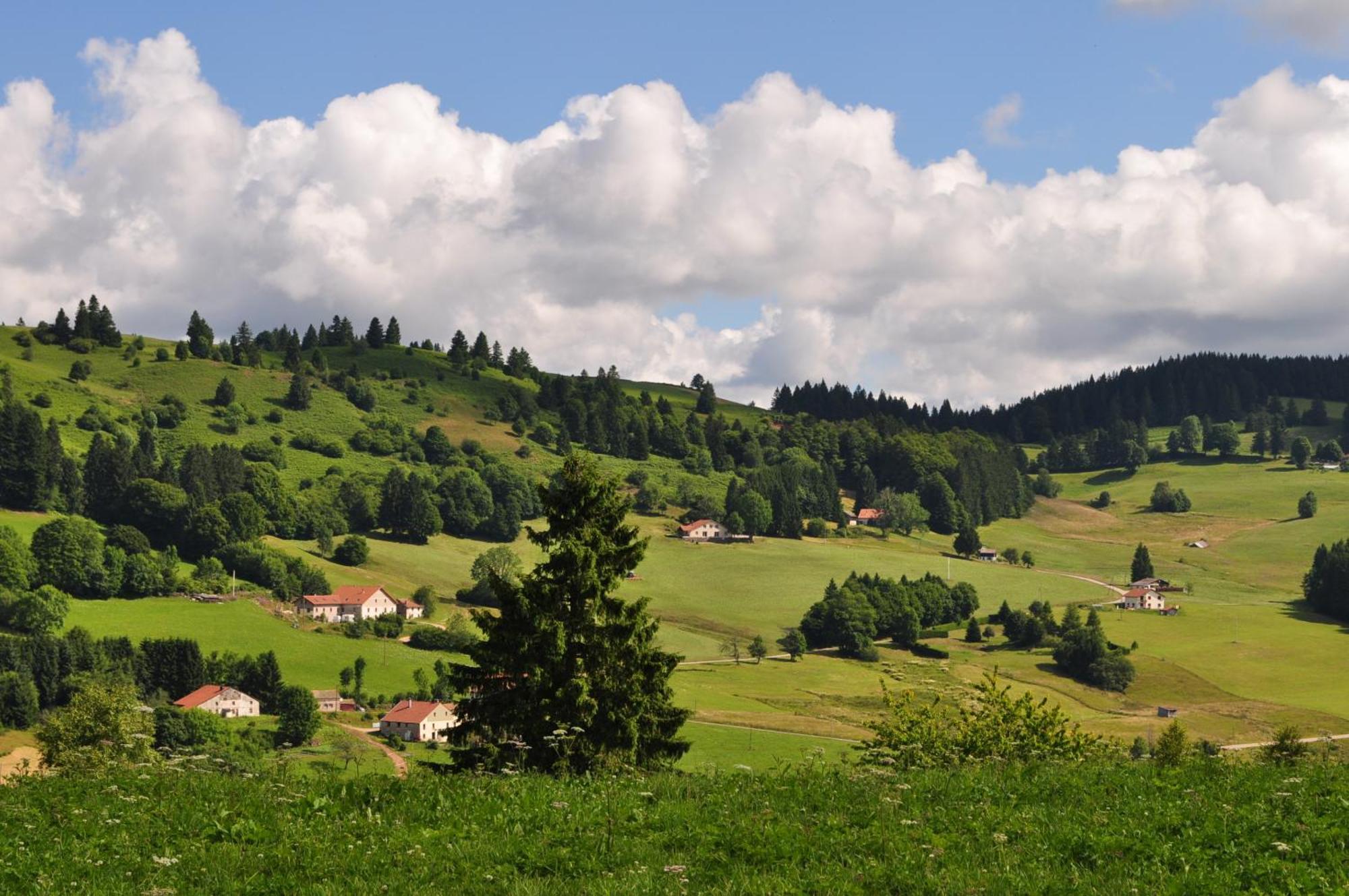 A L'Oree Du Bois Dommartin-lès-Remiremont الغرفة الصورة